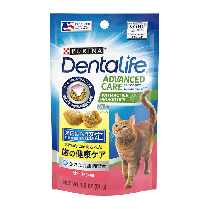 デンタライフ サーモン味 51g