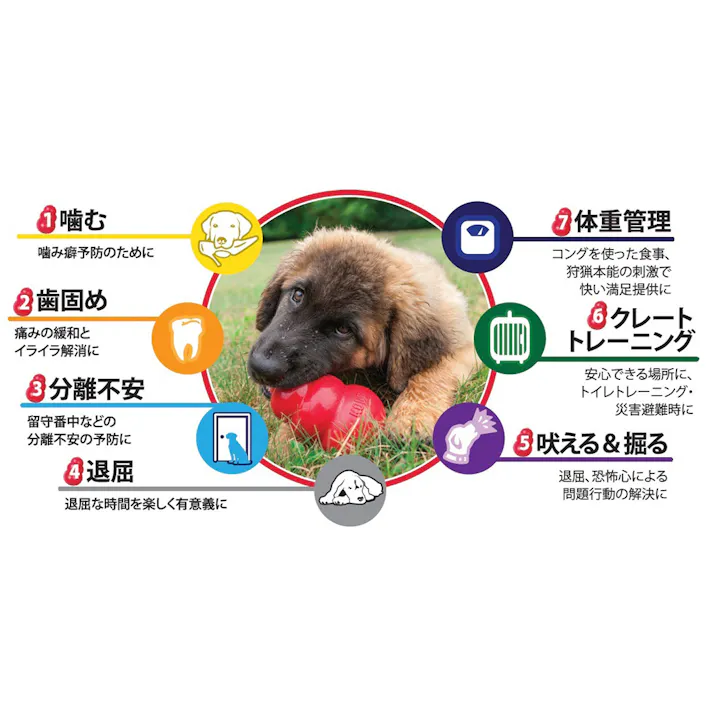 コング M #74602