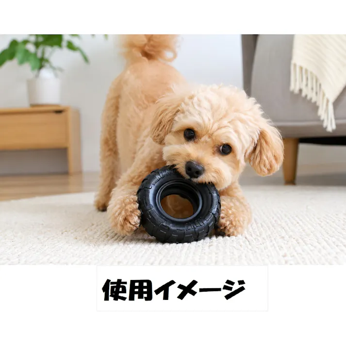 コング トラックス スモール #74618
