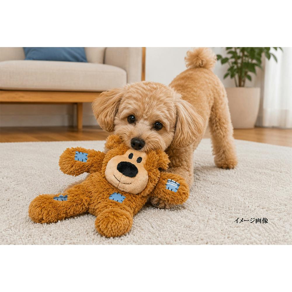 コング ワイルドノットテディ M ブラウン | ペット用品（犬） 通販