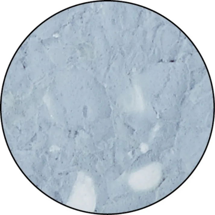 【CAINZ-DASH】スリーエム ジャパンコマーシャルケア販売部 パッドホルダー NO.6472 95X227mm 茶・白パッド各1枚付属 6472【別送品】