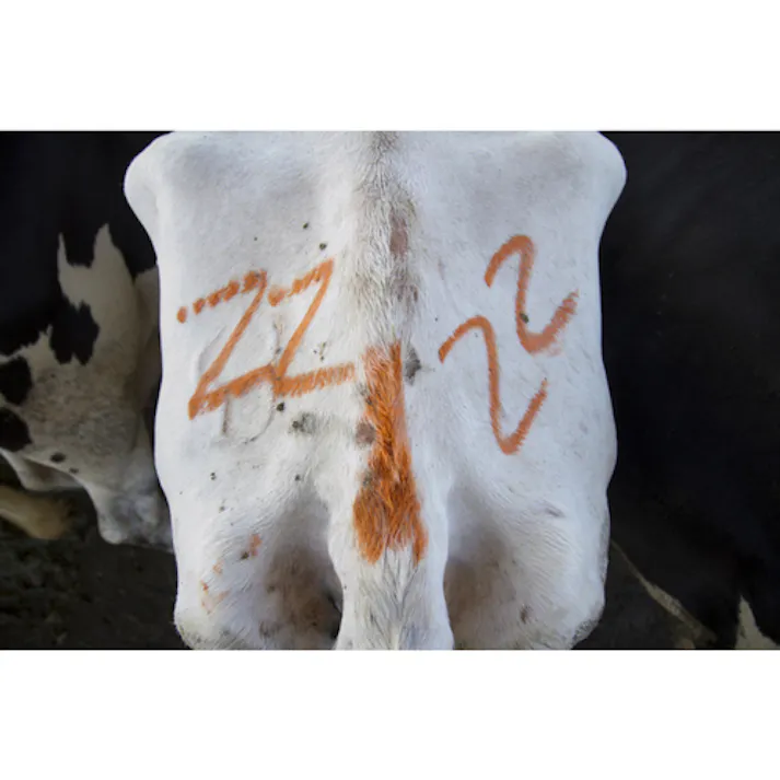 【CAINZ-DASH】LA-CO社 All Weather 多用途マーカー “オールウェザー・ペイントステ 61022【別送品】