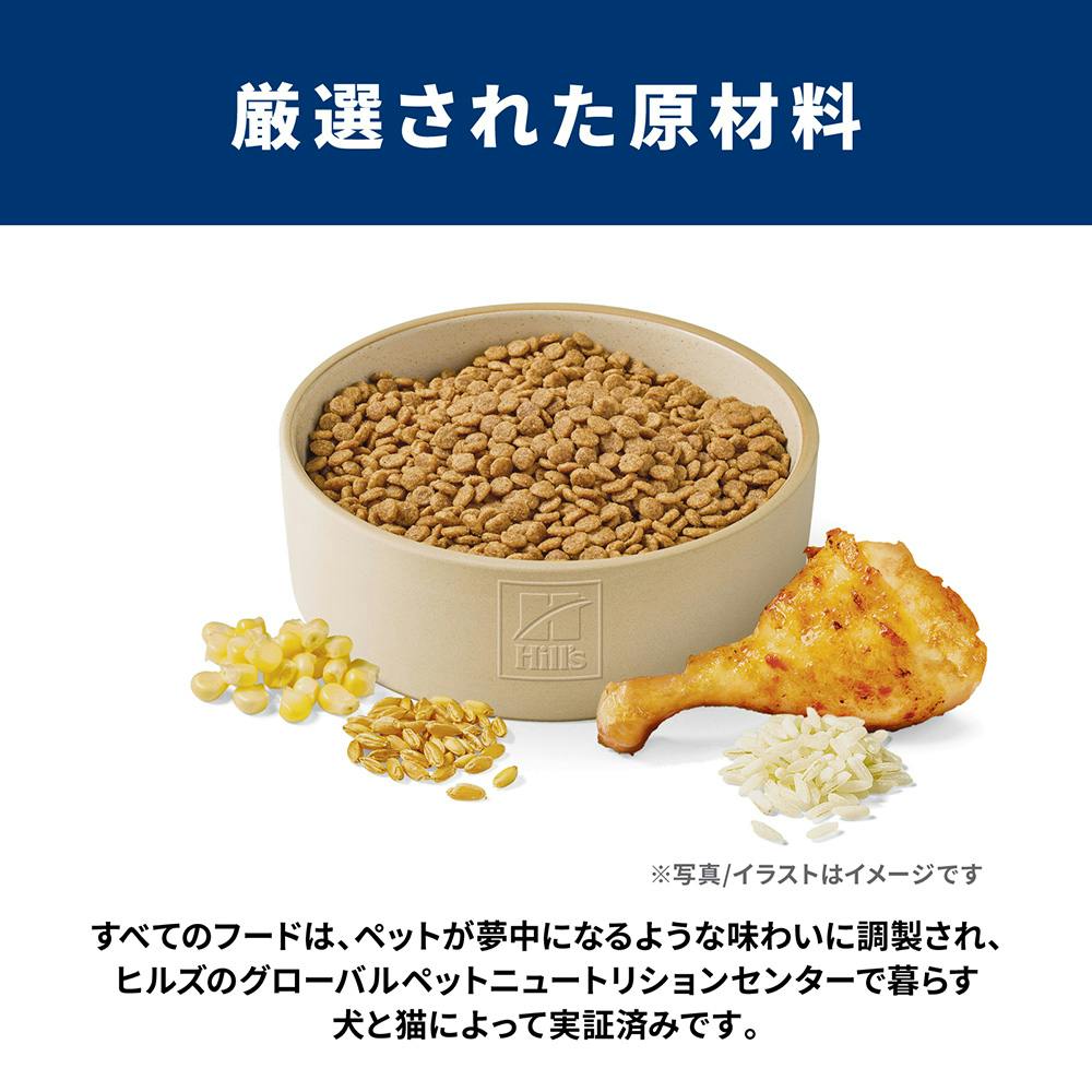 サイエンス・ダイエット 小型犬用 アダルト 1～6歳 成犬用 チキン 3kg
