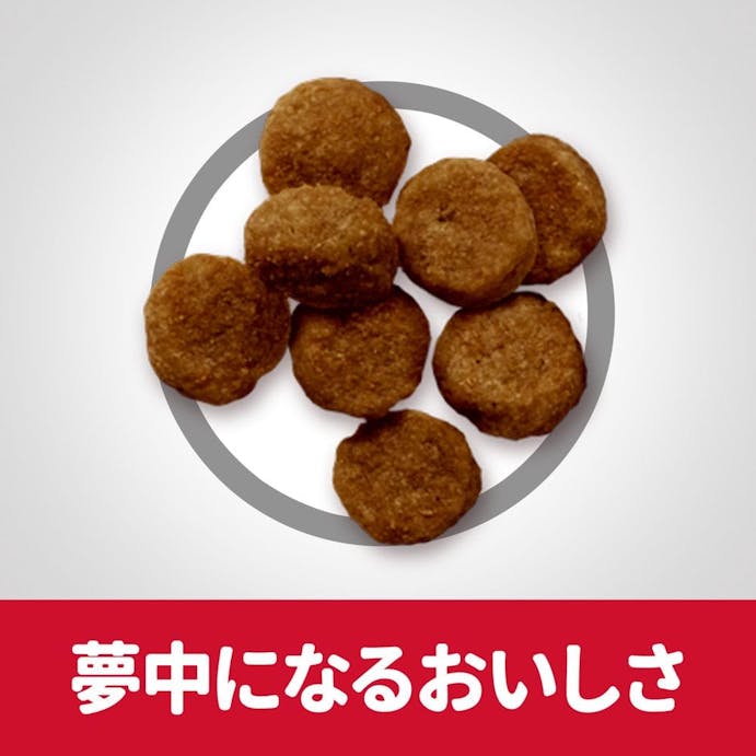 サイエンス・ダイエット 小型犬用 シニアプラス(高齢犬用) 3kg