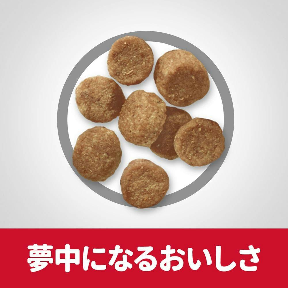 ダイエット食品 小動物のデンタルケアL8020乳酸菌入り やさいMix味 25g | ペット