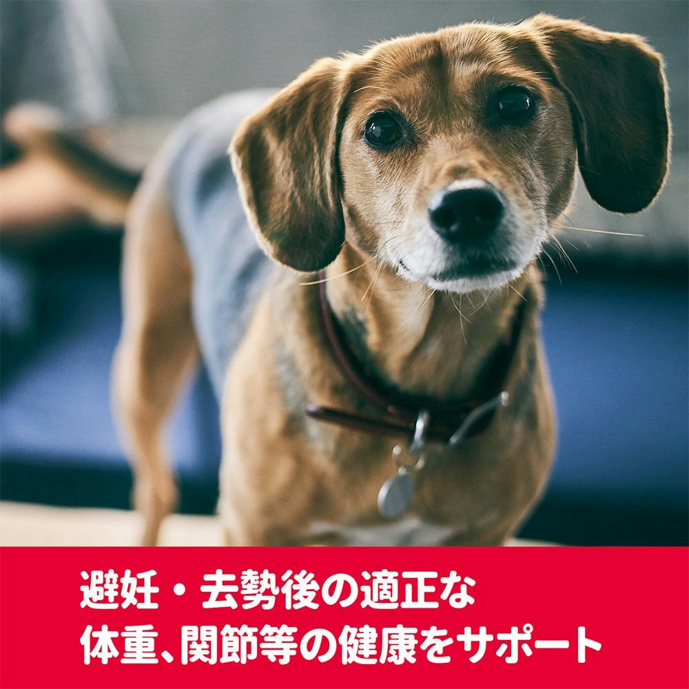 ダイエットフード NO 9997185【黒瀬ペットフード】自然派宣言/小鳥のダイエットフード