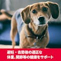 サイエンス・ダイエット＜プロ＞小型犬用 (健康ガード 避妊・去勢) 避妊・去勢後から 600g(販売終了)