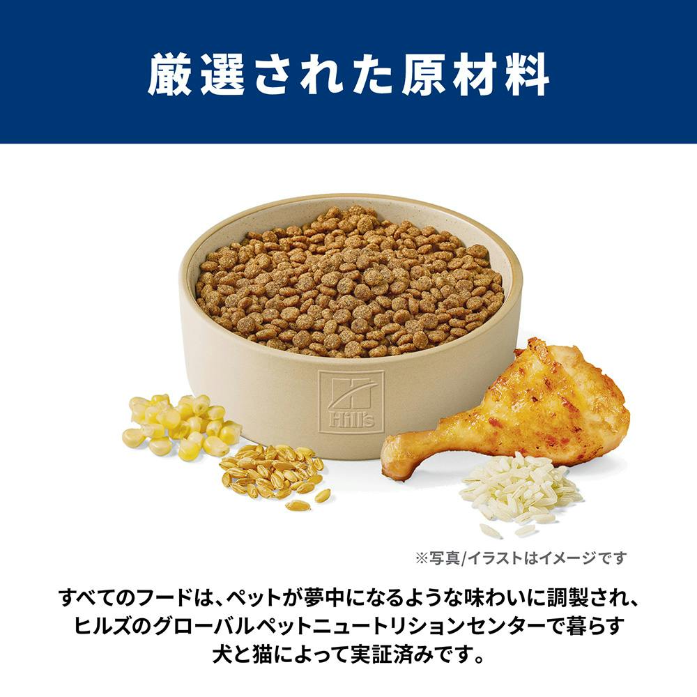 サイエンス・ダイエット アダルト(成犬用) 1～6歳 小粒 3.3kg