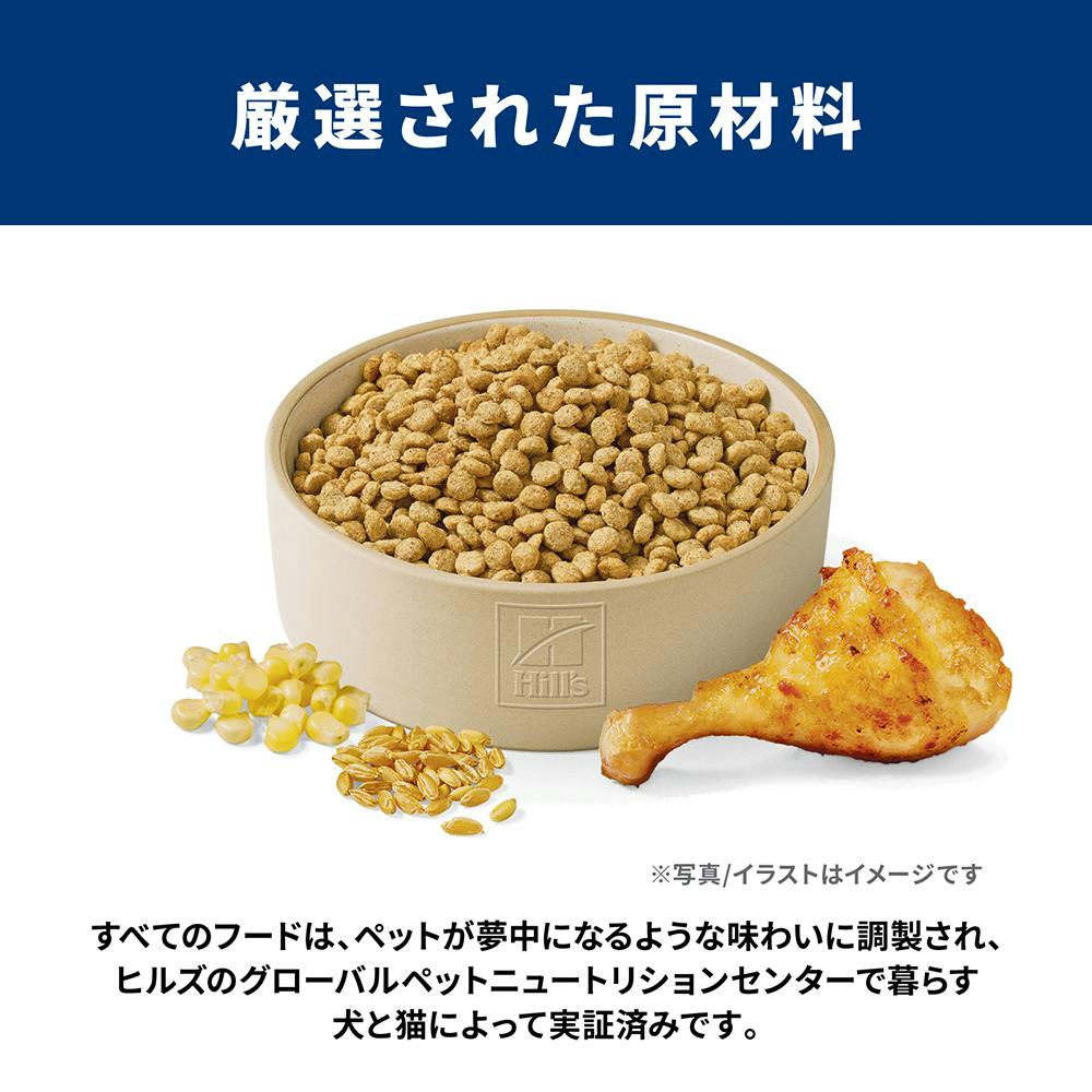 サイエンス・ダイエット ライト(肥満傾向の成犬用) 1～6歳 小粒 3.3kg