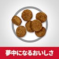 サイエンス・ダイエット シニア(高齢犬用) 小粒 3.3kg