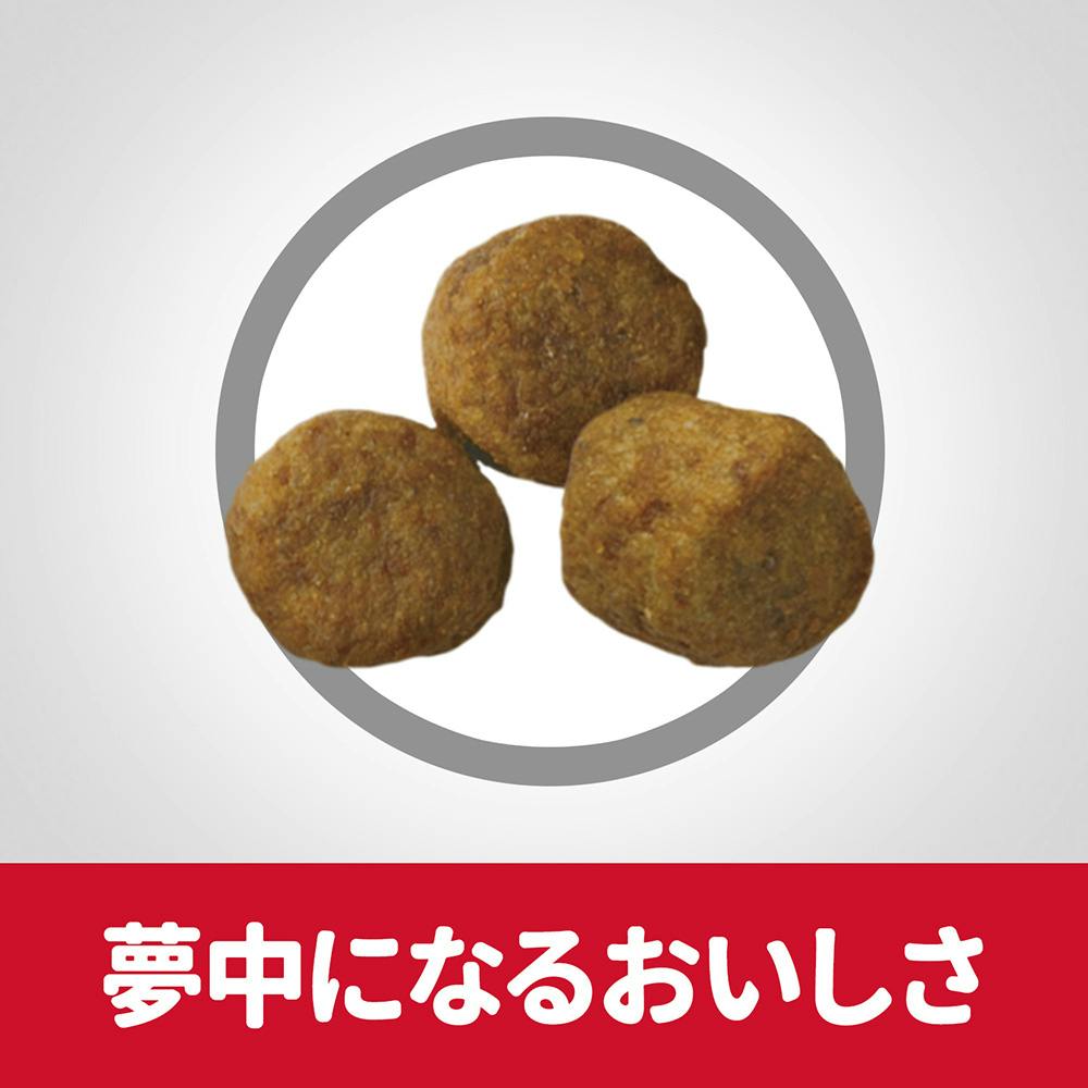 サイエンス・ダイエット シニア(高齢犬用) 7歳以上 中粒 3.3kg