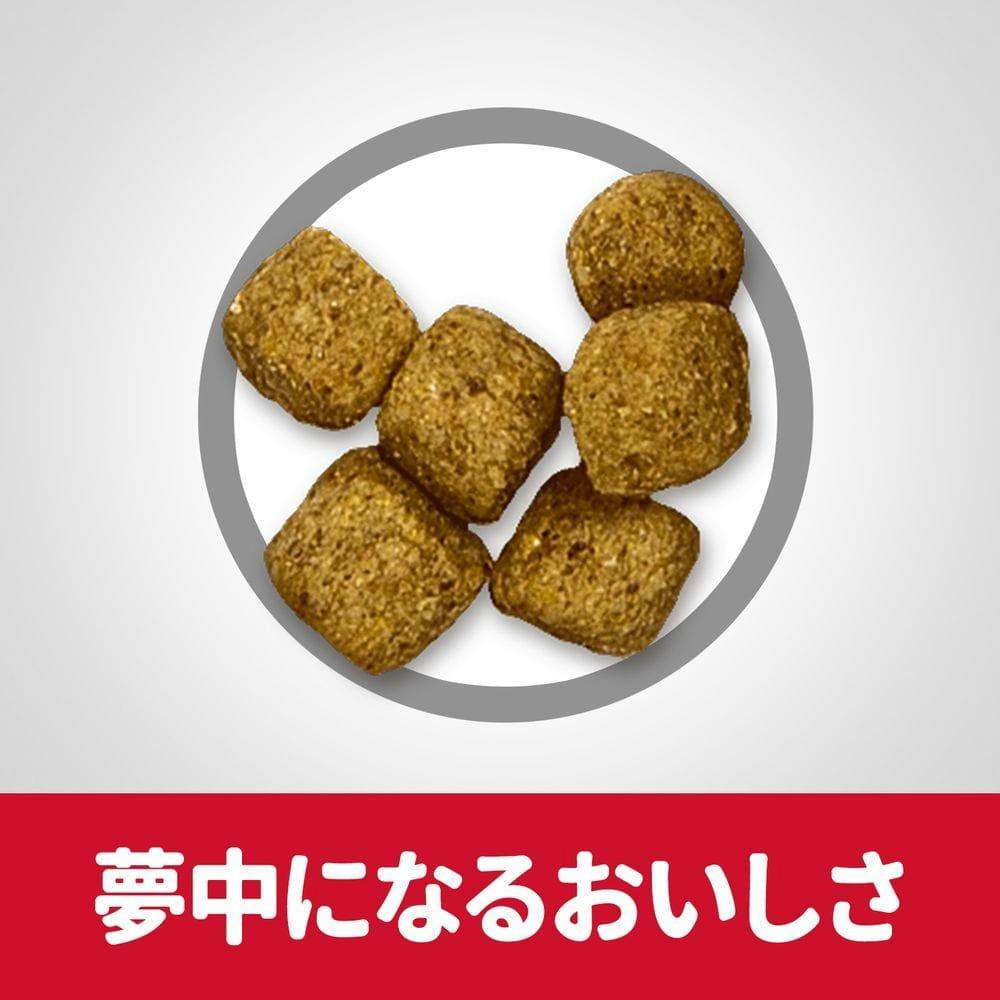 ダイエット用品 310595210082010_s.jpg?1733464694