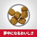 サイエンス・ダイエット シニアライト(肥満傾向の高齢犬用) 小粒 3.3kg