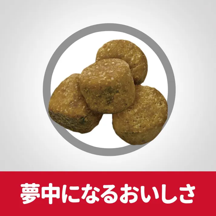 サイエンス・ダイエット ライト(肥満傾向の成犬用) 1~6歳 3.3kg