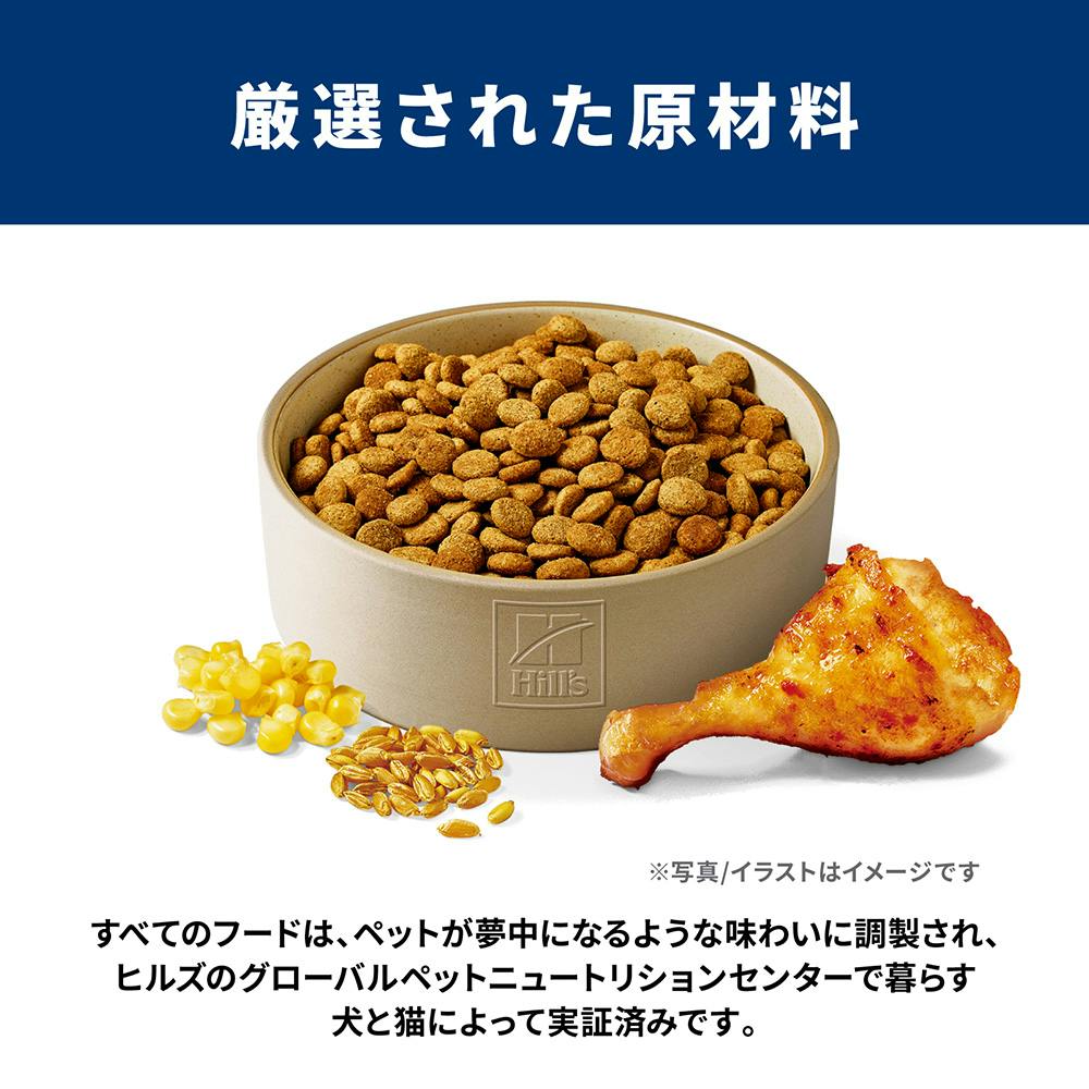 サイエンス・ダイエット ライト(肥満傾向の成犬用) 1～6歳 3.3kg