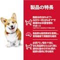 サイエンス・ダイエット ライト 肥満傾向の成犬用 小粒 6.5kg