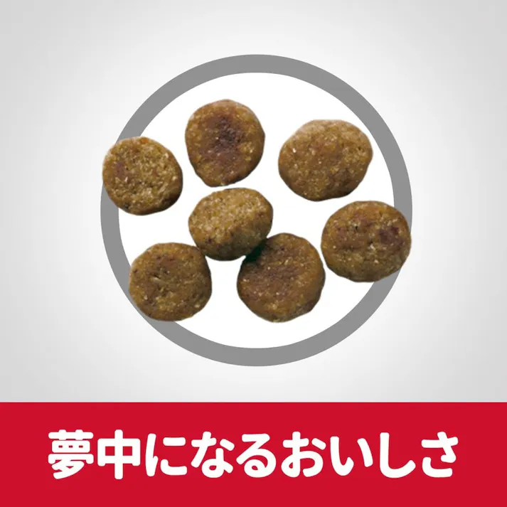 サイエンス・ダイエット シニアアドバンスド(高齢犬用) 小粒 6.5kg