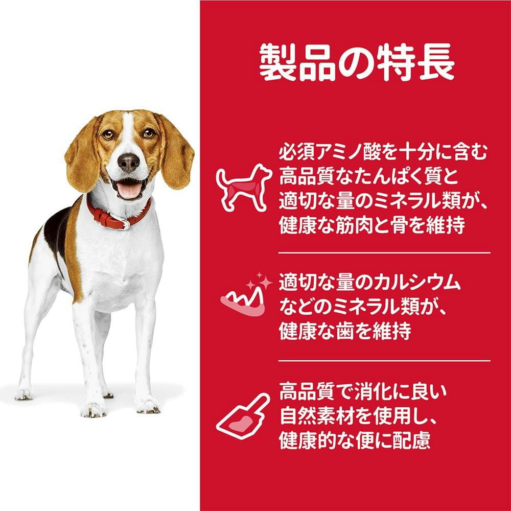 SDアダルトラム＆ライス小粒成犬6.5kg | ペット用品（犬 