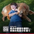 日本ヒルズ サイエンスダイエット 1歳～6歳 アダルト成犬用 チキン 6.5kg