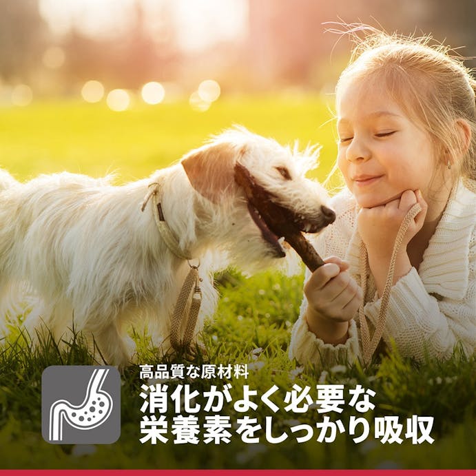 日本ヒルズ サイエンスダイエット 1歳～6歳 アダルト成犬用 チキン 6.5kg