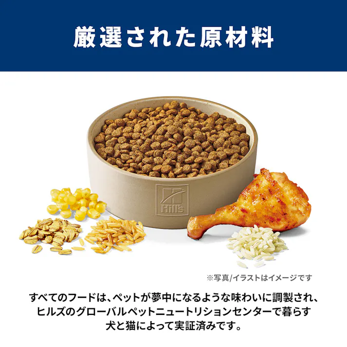 サイエンス・ダイエット パピー(子いぬ用) 小粒 1.4kg