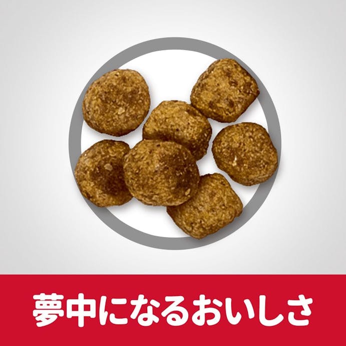 サイエンス・ダイエット ライト(肥満傾向の成犬用) 小粒 1.4kg