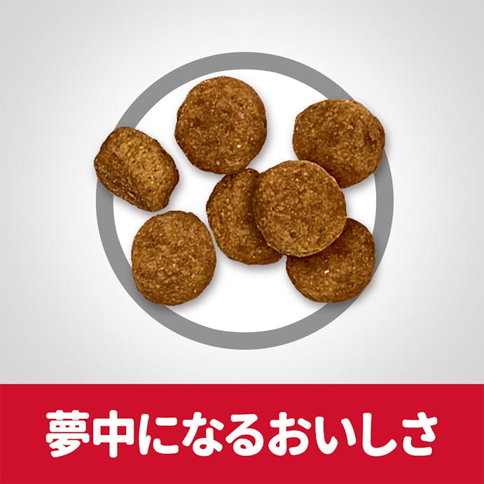 サイエンス・ダイエット シニア(高齢犬用) 小粒 1.4kg