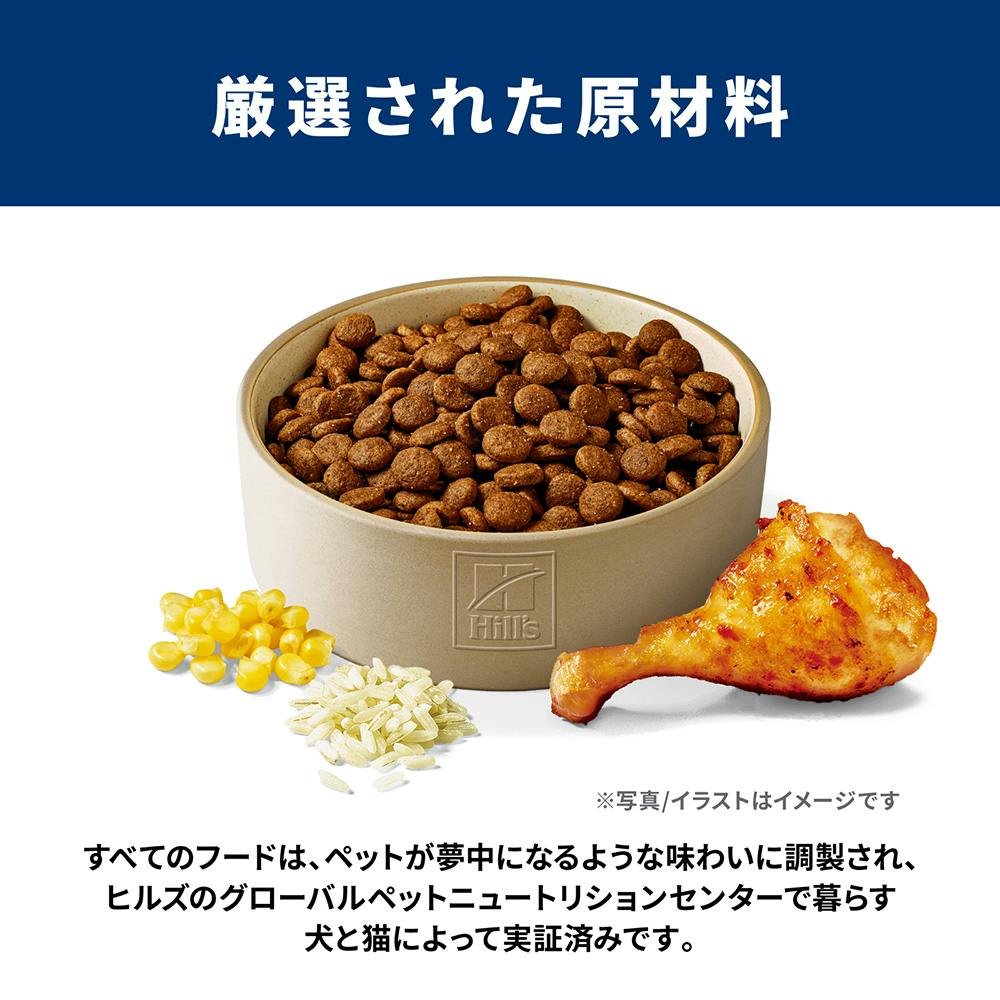 サイエンス・ダイエット パピー 子いぬ用 大型犬種用 12kg