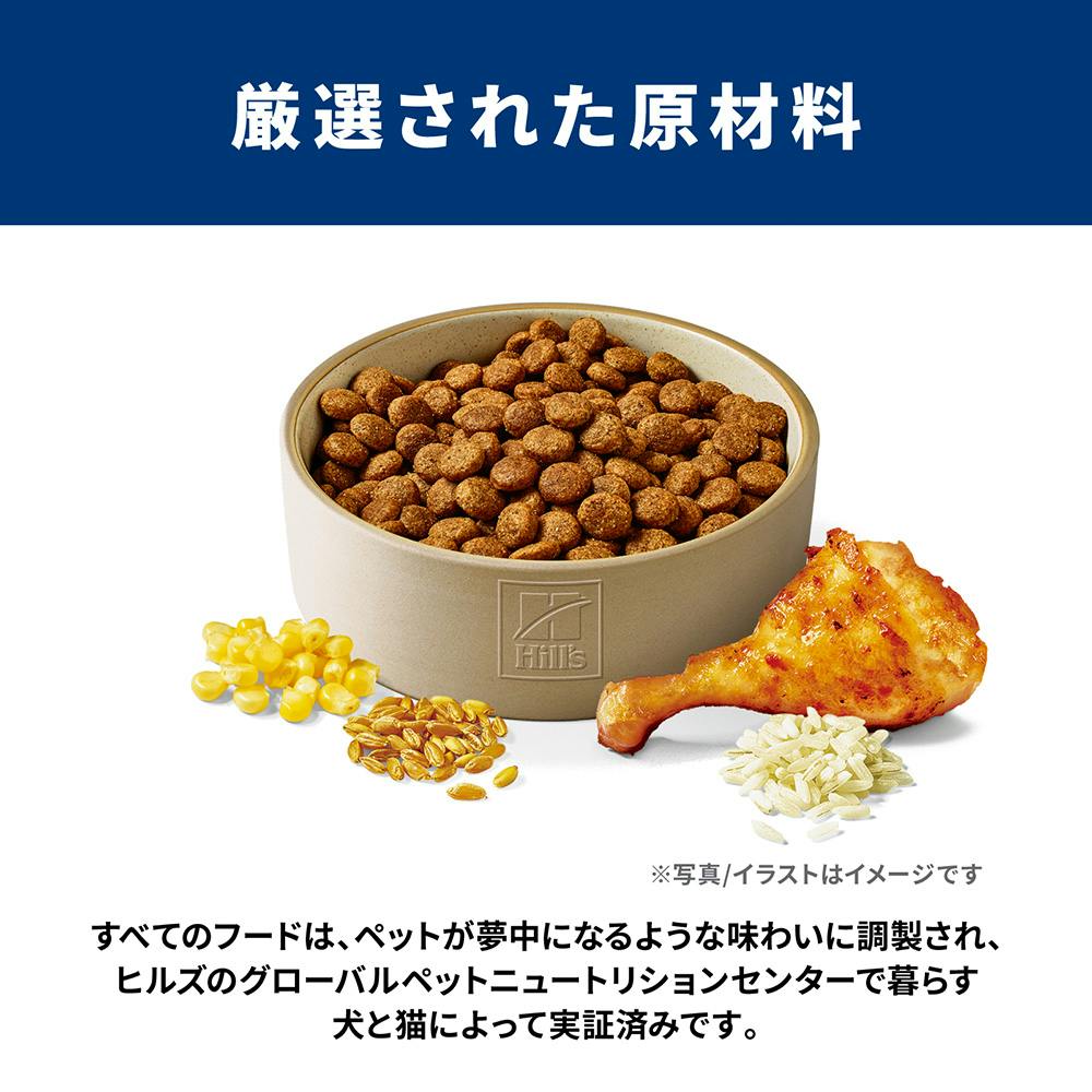 サイエンス・ダイエット アダルト(成犬用) 大型犬種用 12kg