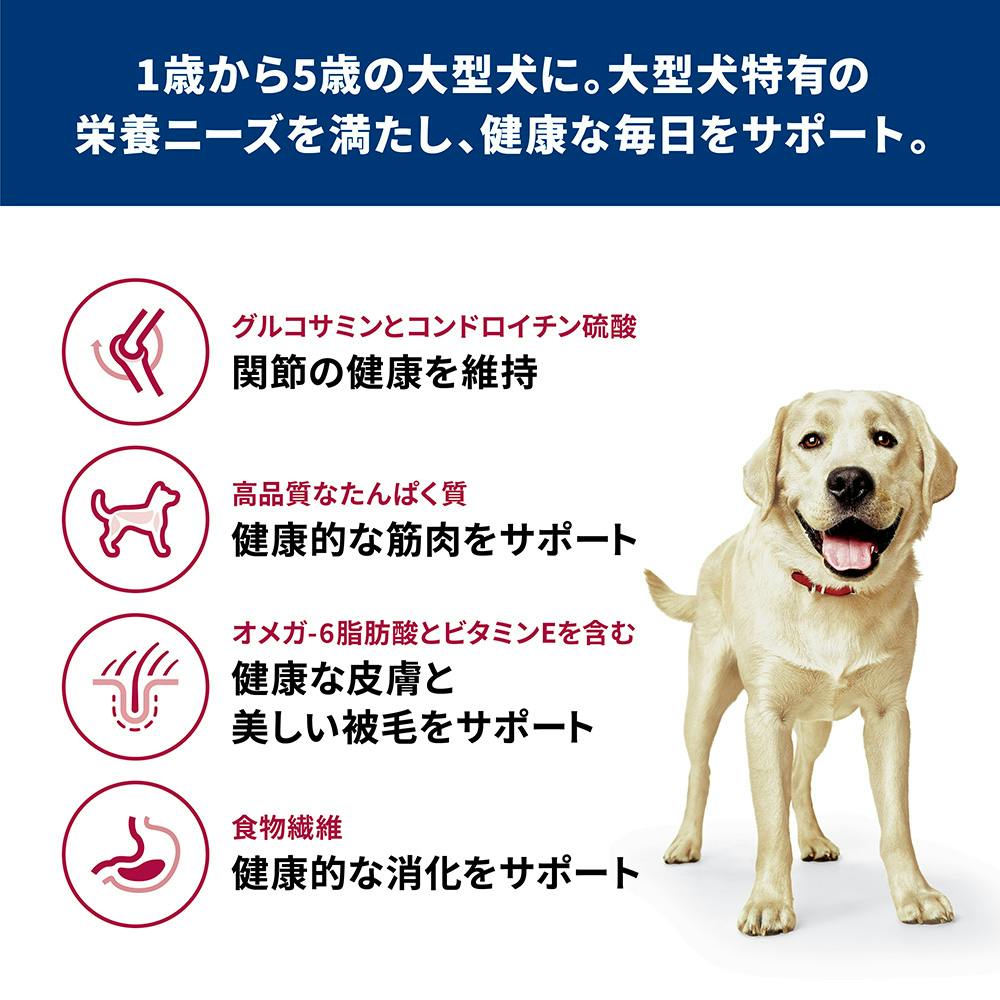サイエンス・ダイエット アダルト(成犬用) 大型犬種用 12kg