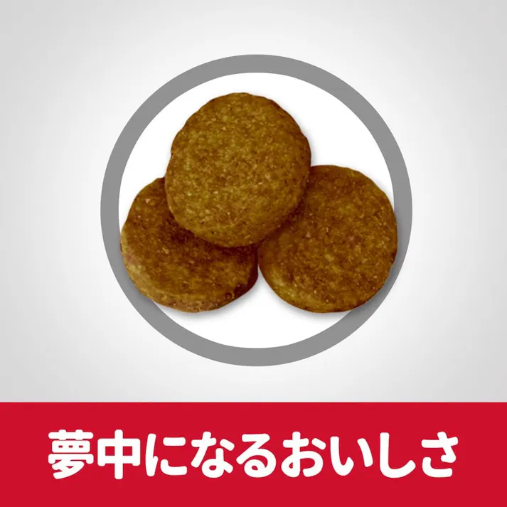 サイエンス・ダイエット ライト(肥満傾向の成犬用) 大型犬種用 12kg