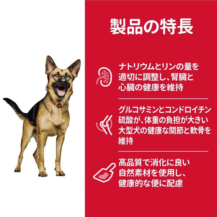 サイエンス・ダイエット シニア 大型犬種用 高齢犬用 12kg