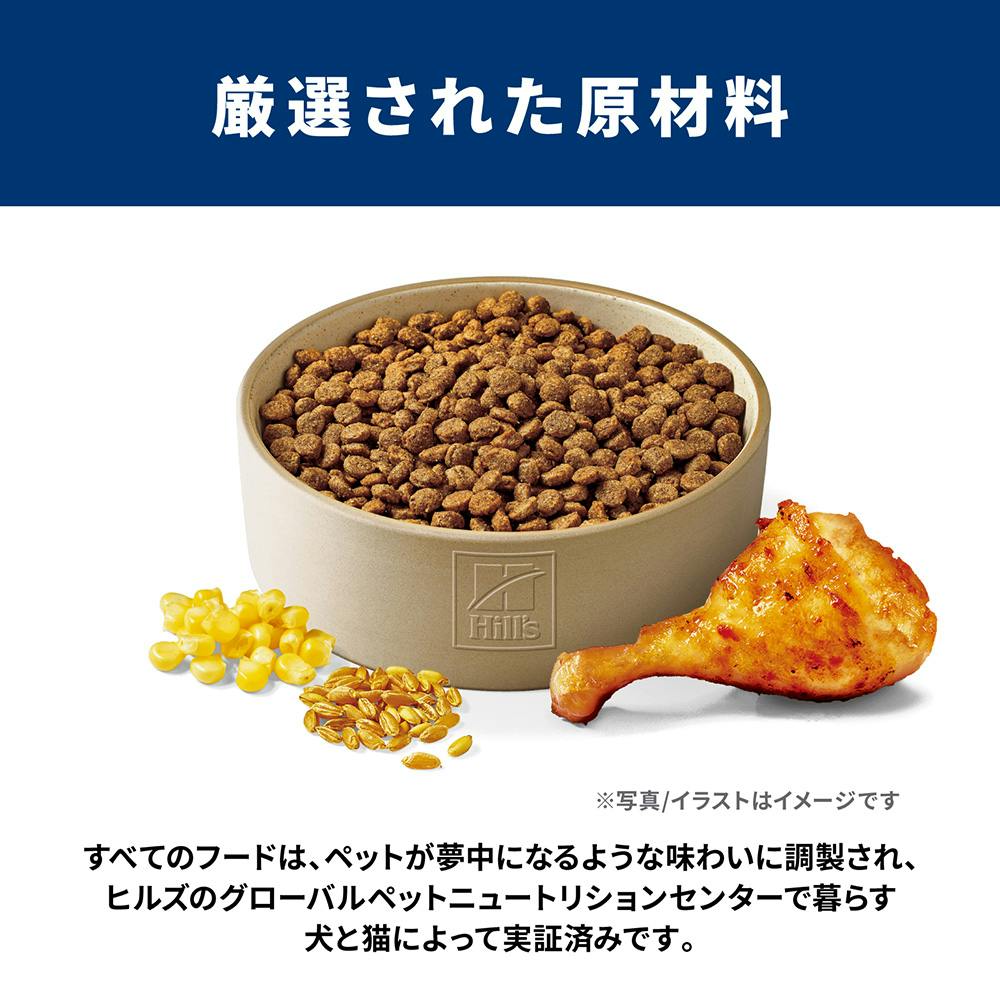 サイエンス・ダイエット シニア(高齢犬用) 小粒 12kg | ドッグフード