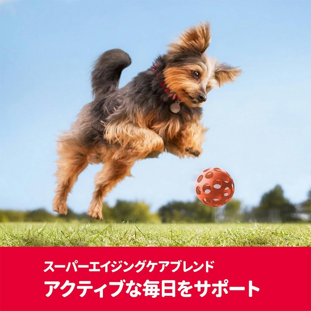 店舗限定 サイエンス ダイエット プロ 小型犬用 健康ガード アクティブシニア 7歳からずっと 600g ホームセンター通販 カインズ