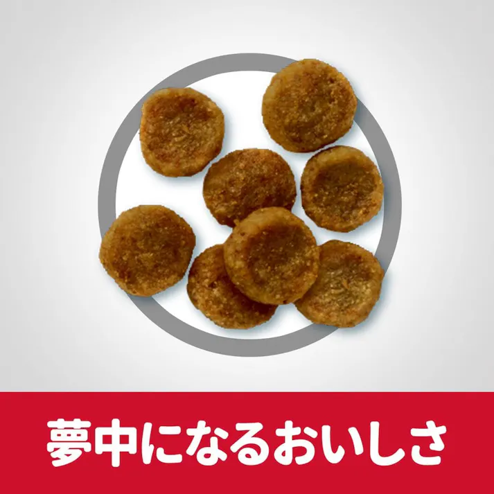 サイエンス・ダイエット アダルト(成犬用) 小型犬用 5kg