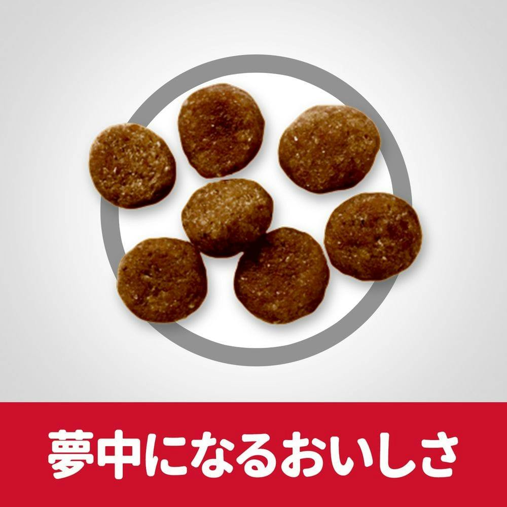 サイエンス・ダイエット ライト(肥満傾向の成犬用) 小型犬用 5kg サイエンス・ダイエット ライト(肥満傾向の成犬用) 小型犬用 5kg