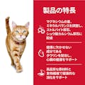 シニアチキン高齢猫用400g