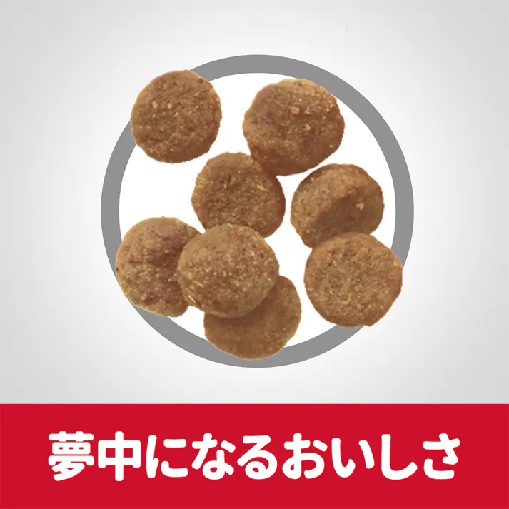 サイエンス・ダイエット 敏感なお腹と皮膚の健康サポート 小型犬用 1.3kg