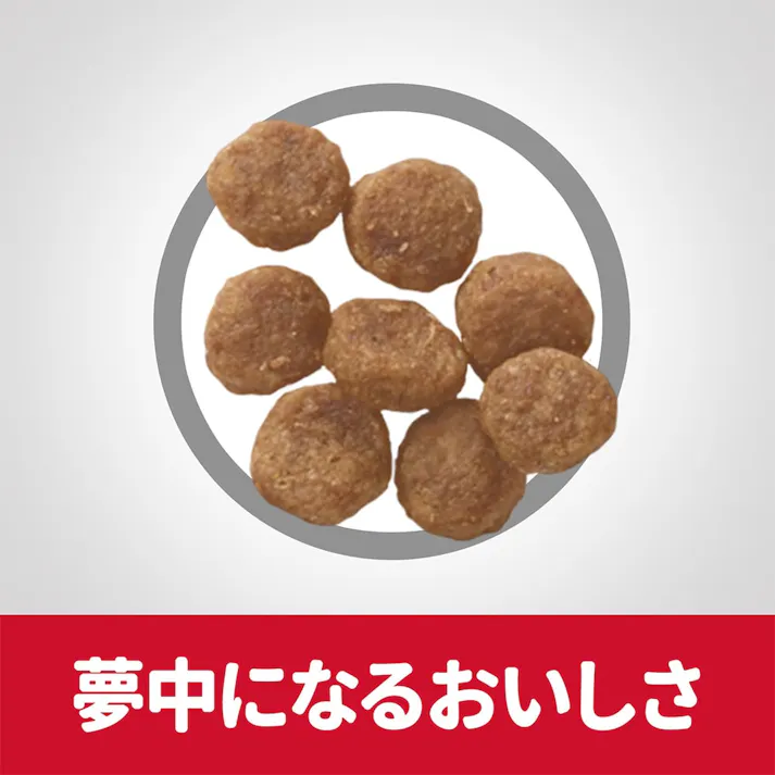 サイエンス・ダイエット アダルト(成犬用) 1~6歳 小型犬用 ラム&ライス 1.5kg