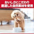 ヒルズ室内小型犬用 避妊・去勢後 2.5kg