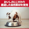 ヒルズ 小型犬用 腸の健康サポートプラス チキン 200g