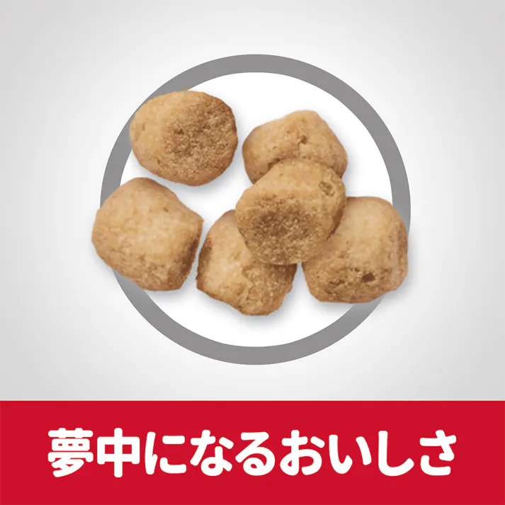 サイエンス・ダイエット 尿路の健康サポート 避妊・去勢猫用 チキン お試し200g