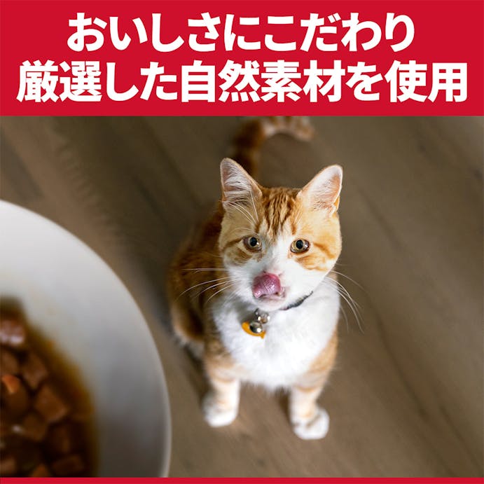 サイエンス・ダイエット 避妊・去勢猫用 避妊・去勢後～6歳 チキン お試し200g