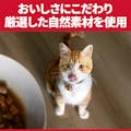 サイエンス・ダイエット 避妊・去勢猫用 避妊・去勢後～6歳 チキン お試し200g