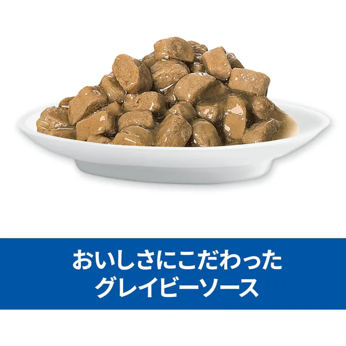 ヒルズ 猫用 腸の健康サポート プラスチキン パウチ 85g
