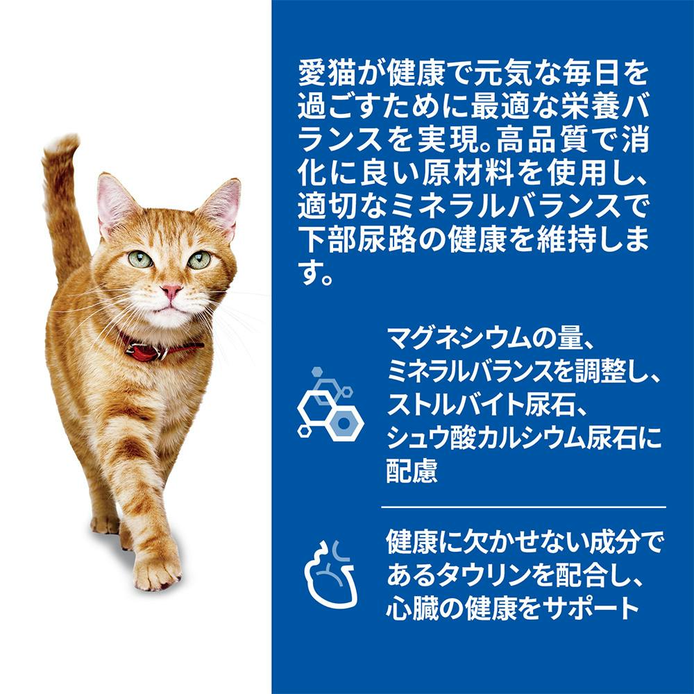 ヒルズ 猫用 シニア サーモン パウチ 85g | キャットフード 通販