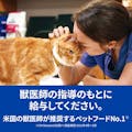 プリスクリプション・ダイエット 猫用 s/d 尿ケア 2kg