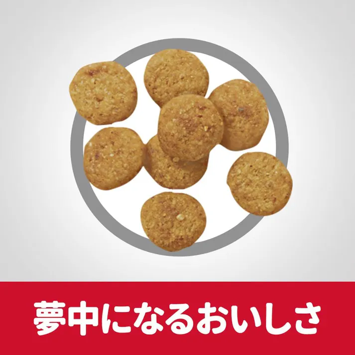 サイエンス・ダイエット 減量サポート 小型犬用 超小粒 1.3kg