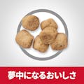 サイエンス・ダイエット 避妊・去勢猫用 避妊・去勢後～6歳 チキン 1.8kg(販売終了)