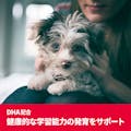 サイエンス・ダイエット プロ 小型犬用 12ヶ月まで 発育 600g